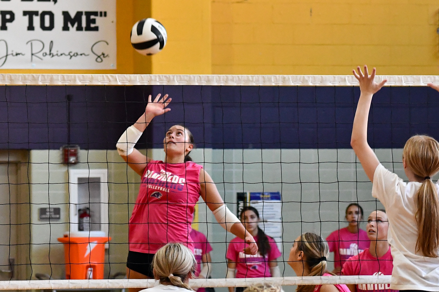 Panthers Volleyball Banking on Experience for Run at NBC Title,&nbsp;Tournament